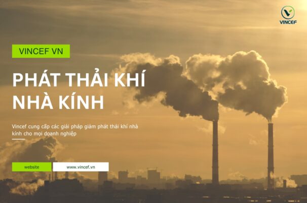 Phat-thai-khi-nha-kinh.